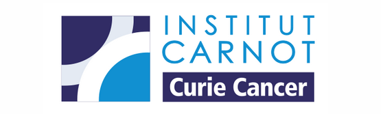 Institut Carnot Curie Cancer